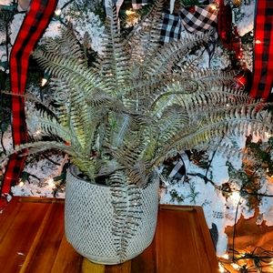 Home Decor plastic plant 🪴 NWOT